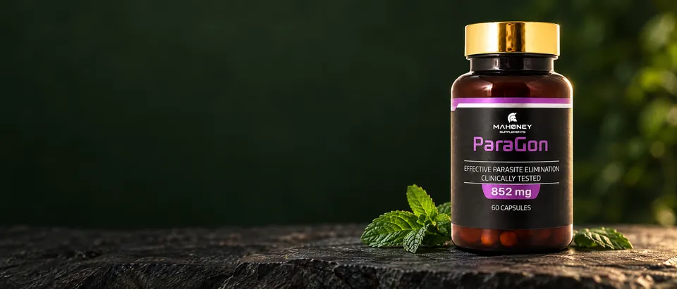 Paragon by Mahoney Supplements on dark slate with fresh mint