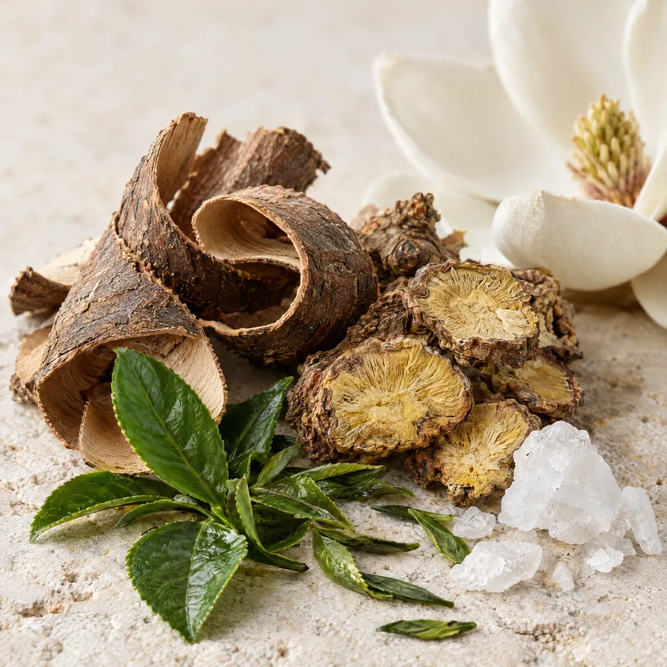 Magnolia bark, rhodiola root and green tea leaves on pale stone